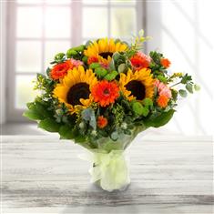 Sunflower surprise