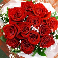 Dozen best red roses