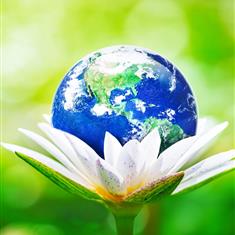 Eco -friendly wrapping